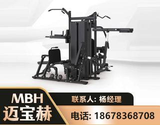果洛四人站训练器