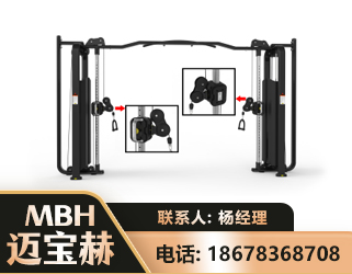 果洛大飞鸟训练器